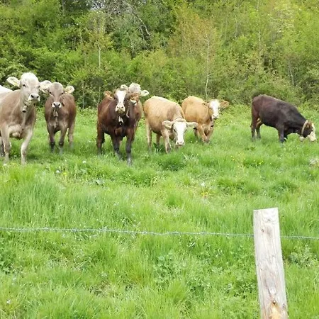 Bauernhof Dieing * Isny im Allgäu