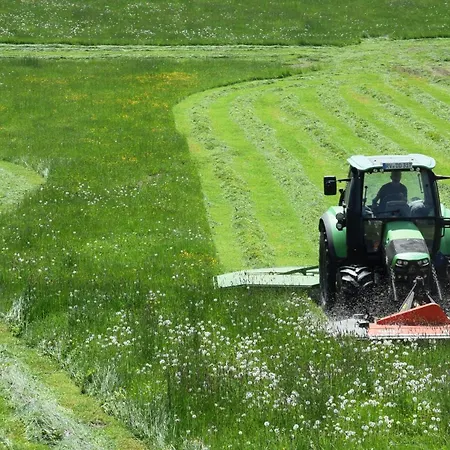 Bauernhof Dieing * Isny im Allgäu