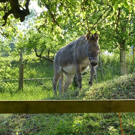 Bauernhof Dieing * Isny im Allgäu
